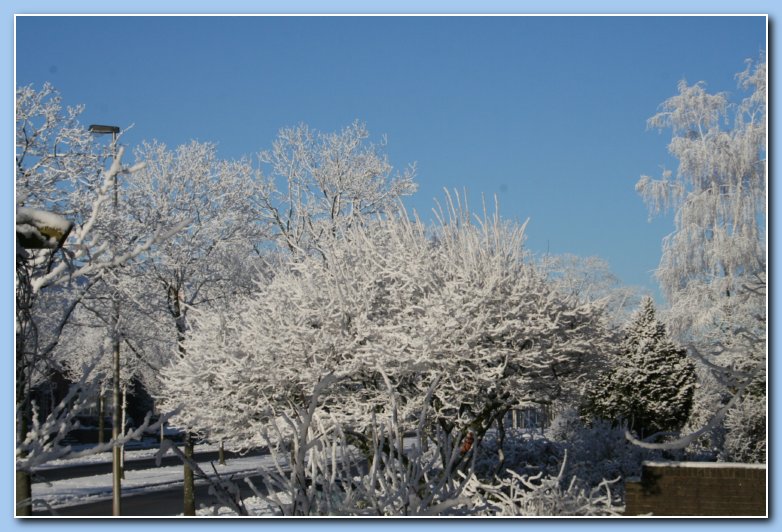 Arnhem Snow 134
